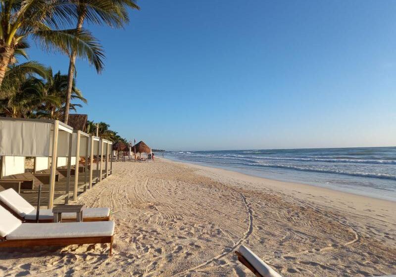Ana Y Jose Hotel & Beach Club Tulum