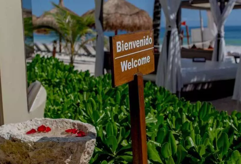 Ana Y Jose Hotel & Beach Club Tulum