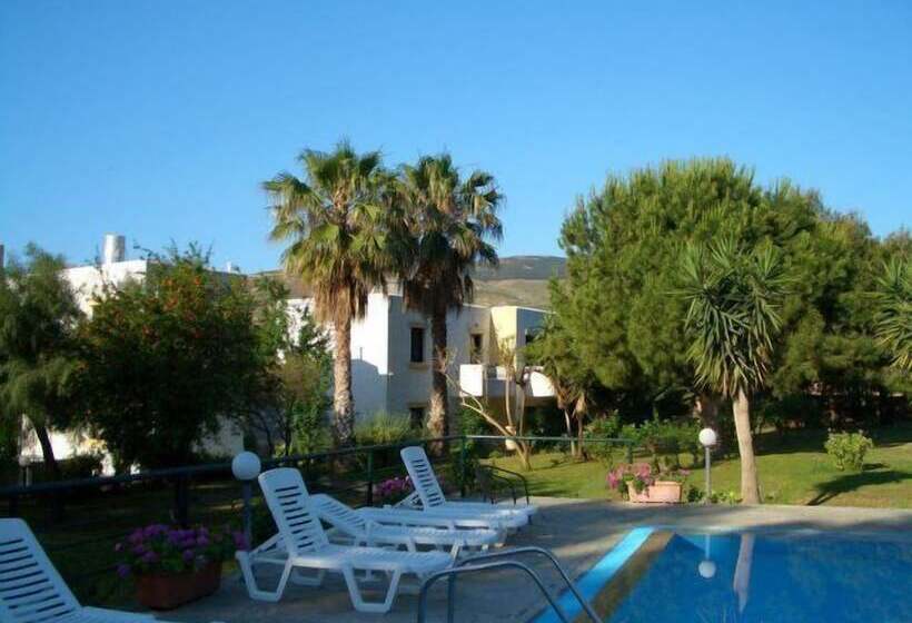 ホテル Apartments Seagull