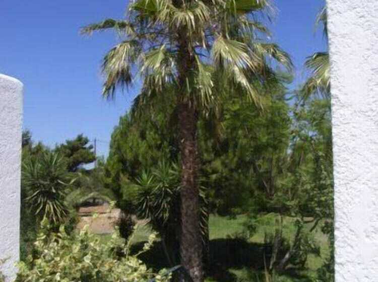 ホテル Apartments Seagull