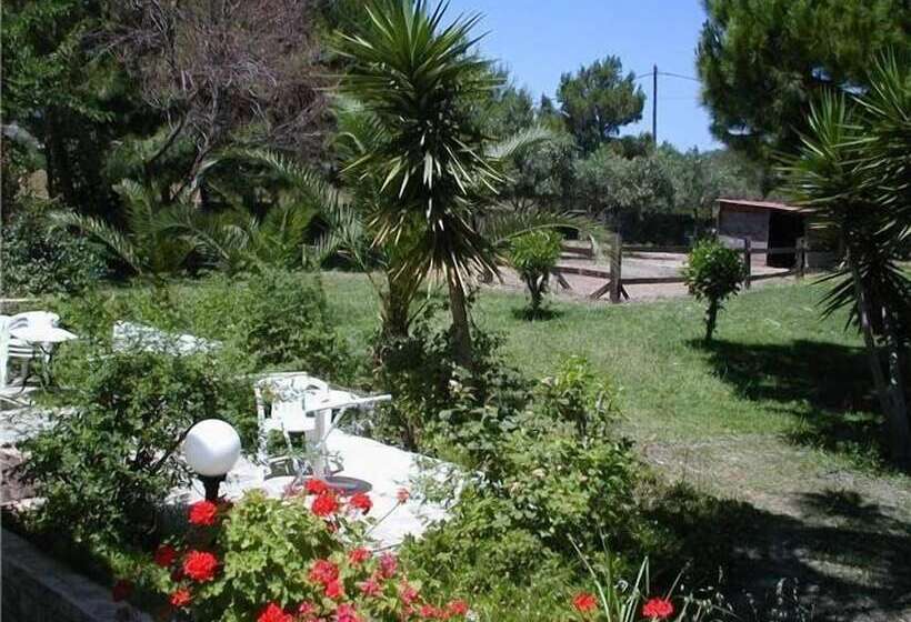 ホテル Apartments Seagull