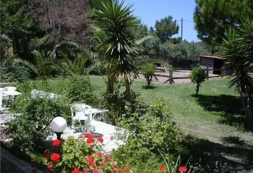 ホテル Apartments Seagull