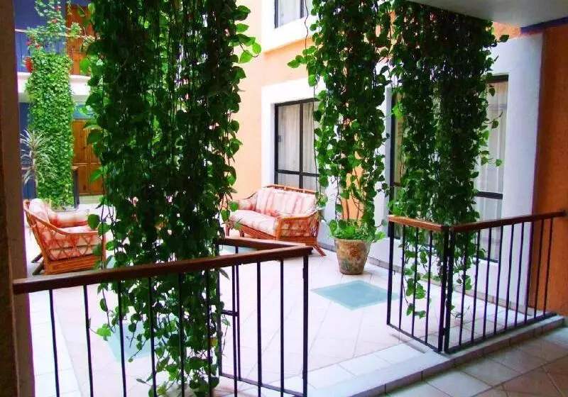 هتل Capital O Oaxaca Dorado