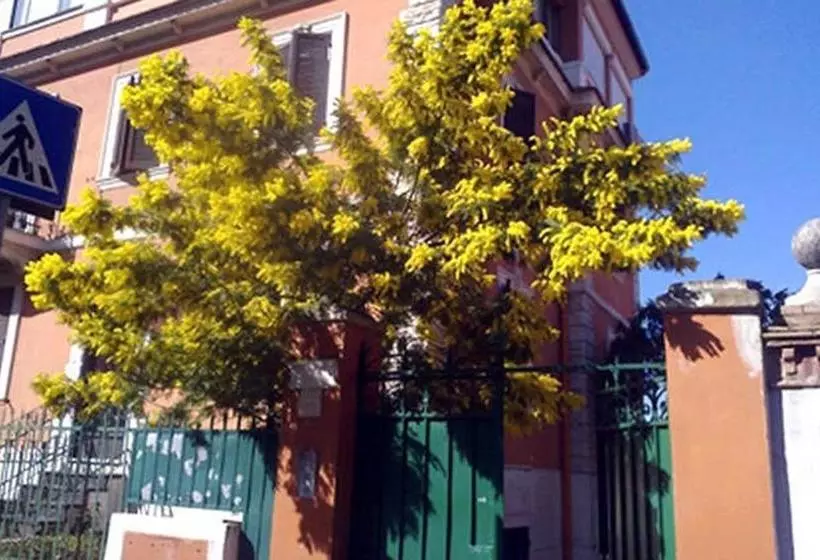 هتل Home Holiday Vatican Museums