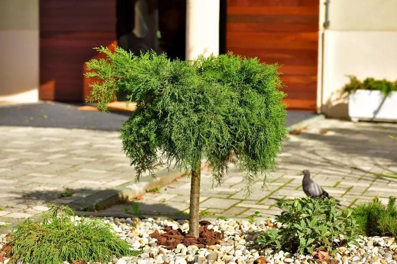 בית מלון כפרי Orient Zagreb