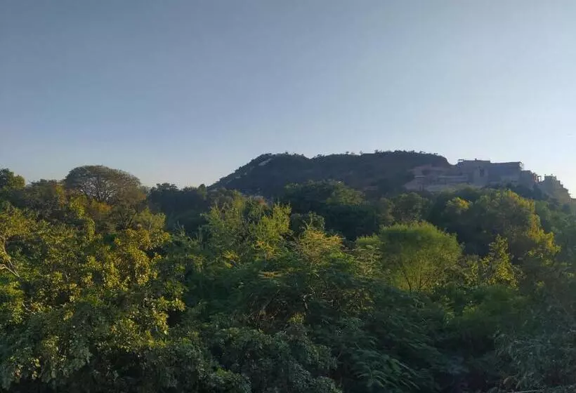 Tripli Hotels Shambhu Villas