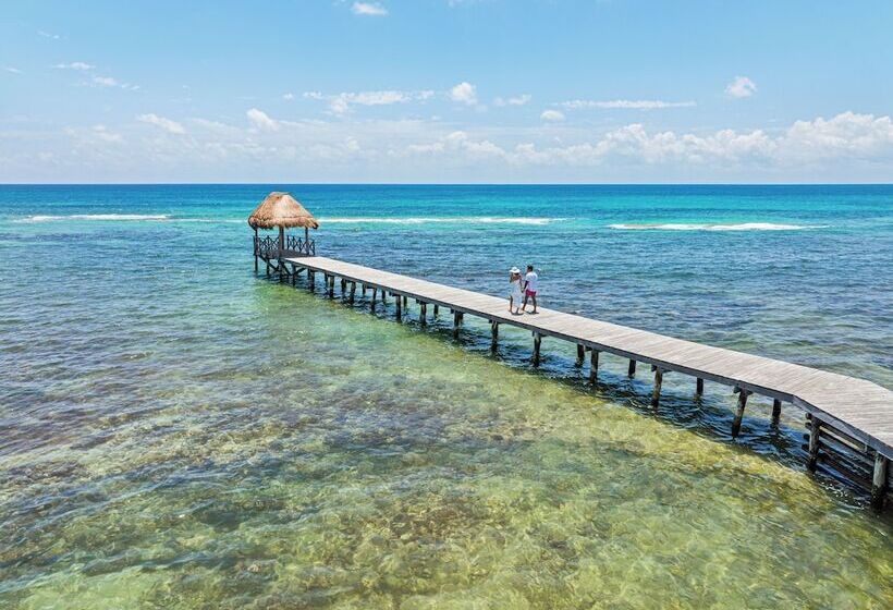 Jungala Park Hotel At Vidantaworld Riviera Maya