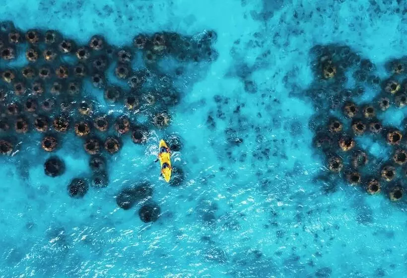 Jungala Park Hotel At Vidantaworld Riviera Maya