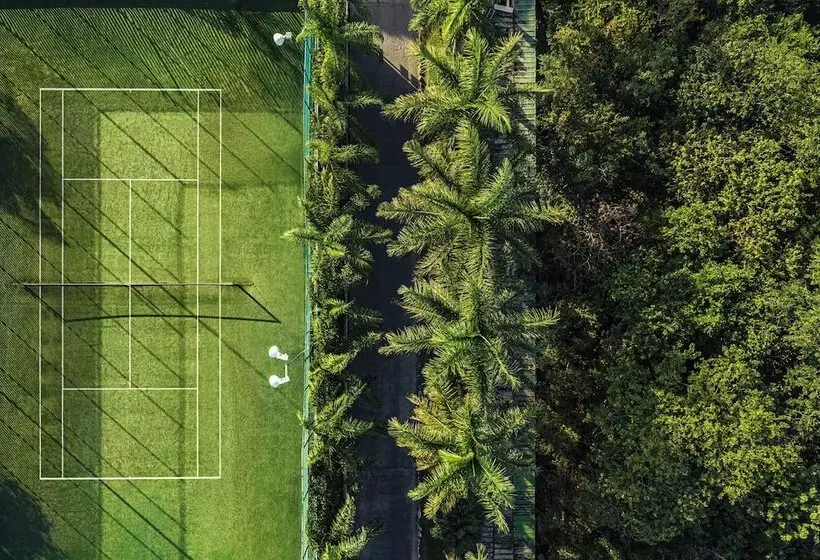 Jungala Park Hotel At Vidantaworld Riviera Maya