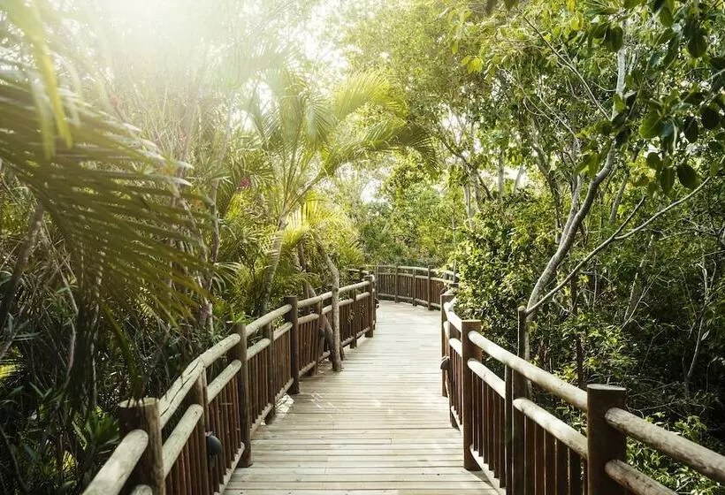 Jungala Park Hotel At Vidantaworld Riviera Maya