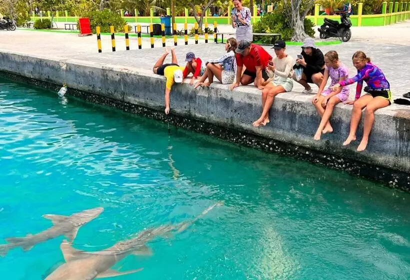 پانسیون Manta Stay Thoddoo, Maldives