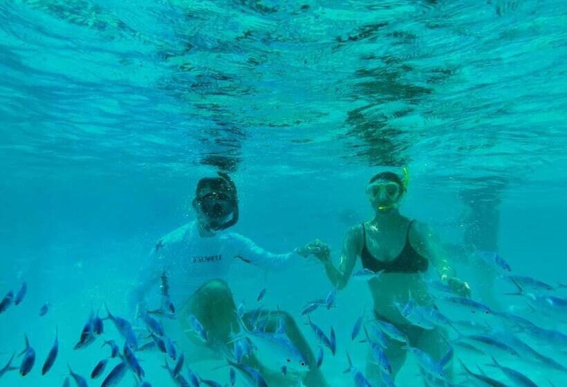 پانسیون Manta Stay Thoddoo, Maldives