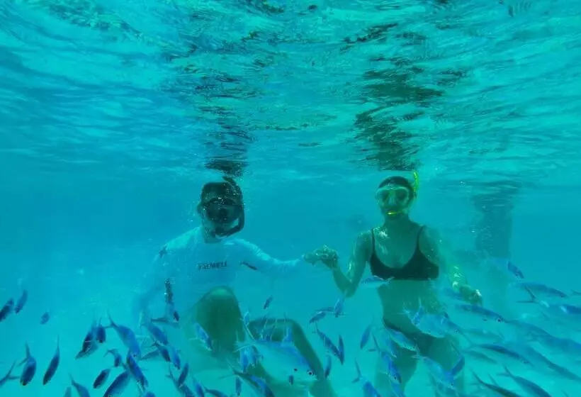 پانسیون Manta Stay Thoddoo, Maldives