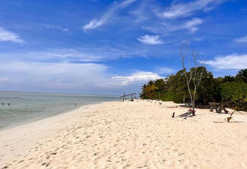 پانسیون Manta Stay Thoddoo, Maldives