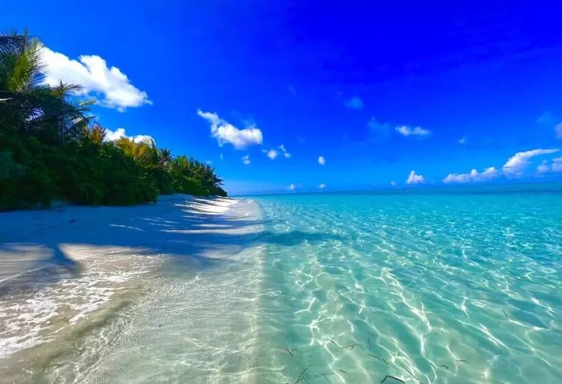 پانسیون Manta Stay Thoddoo, Maldives