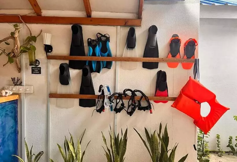 پانسیون Manta Stay Thoddoo, Maldives