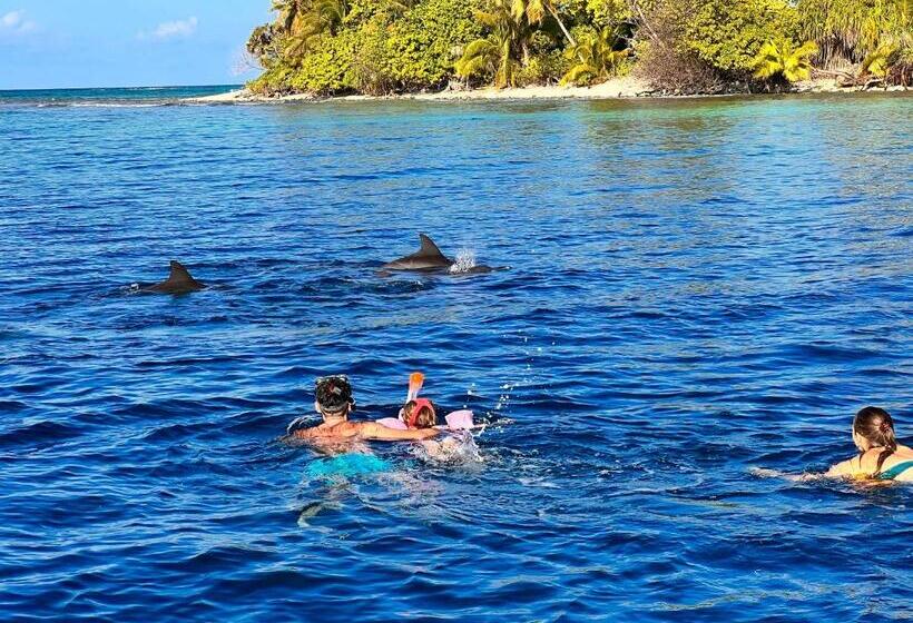 پانسیون Manta Stay Thoddoo, Maldives