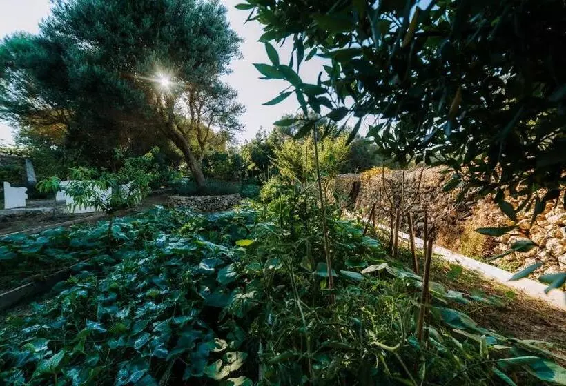 Hotelli Agroturismo Rafal Rubí