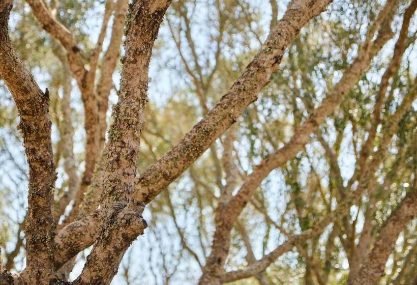 فندق Agroturismo Rafal Rubí