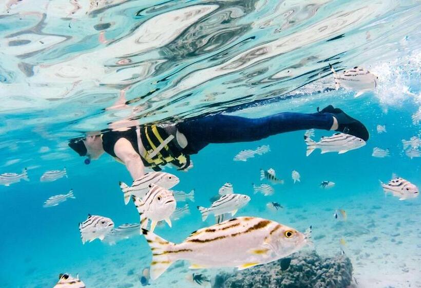 فندق Comfort Inn Naha Tomari Port