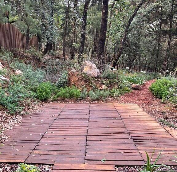 هتل Oxú Solo Adultos