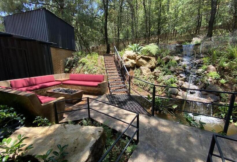 هتل Oxú Solo Adultos