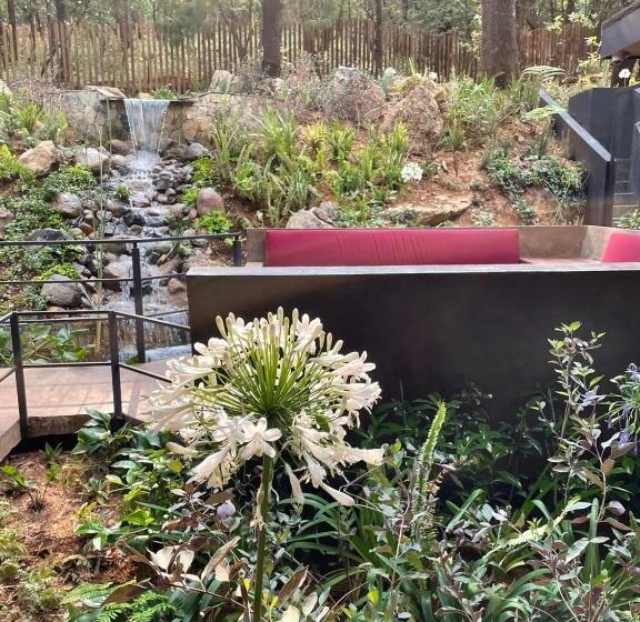 هتل Oxú Solo Adultos