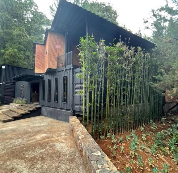 هتل Oxú Solo Adultos