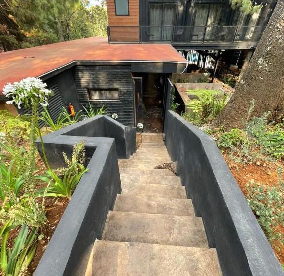 هتل Oxú Solo Adultos