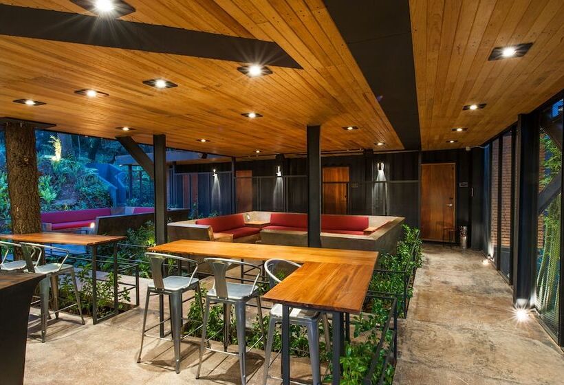 هتل Oxú Solo Adultos