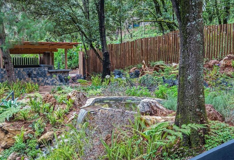 هتل Oxú Solo Adultos