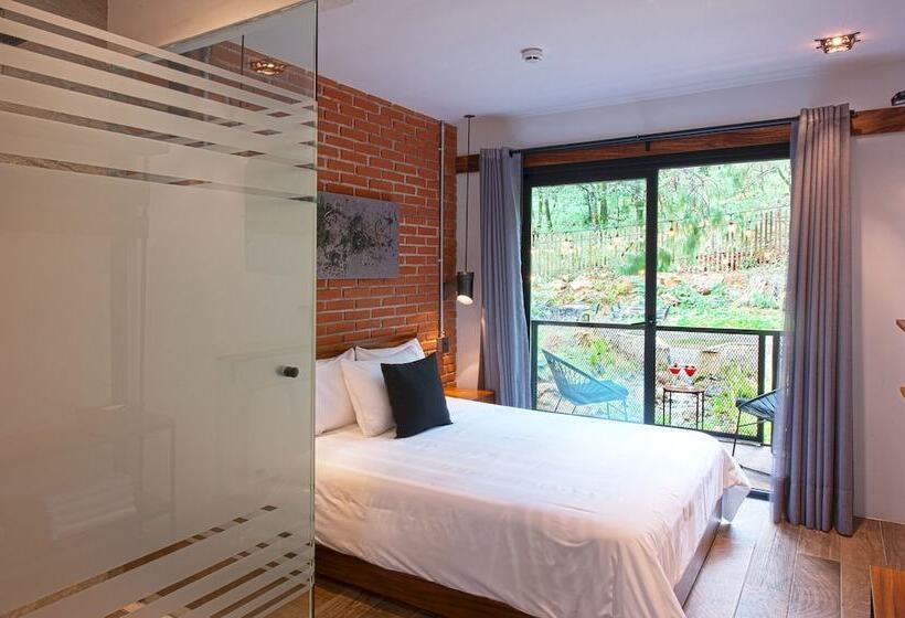 هتل Oxú Solo Adultos