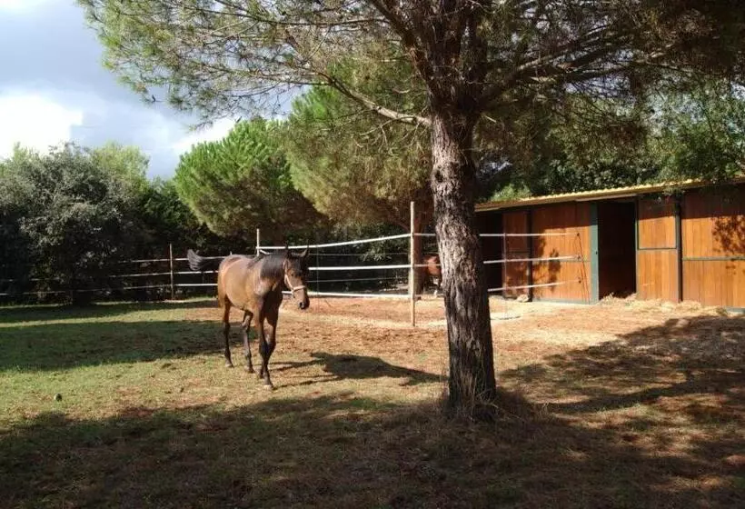 ホテル Tenuta Don Monaco   Agriturismo