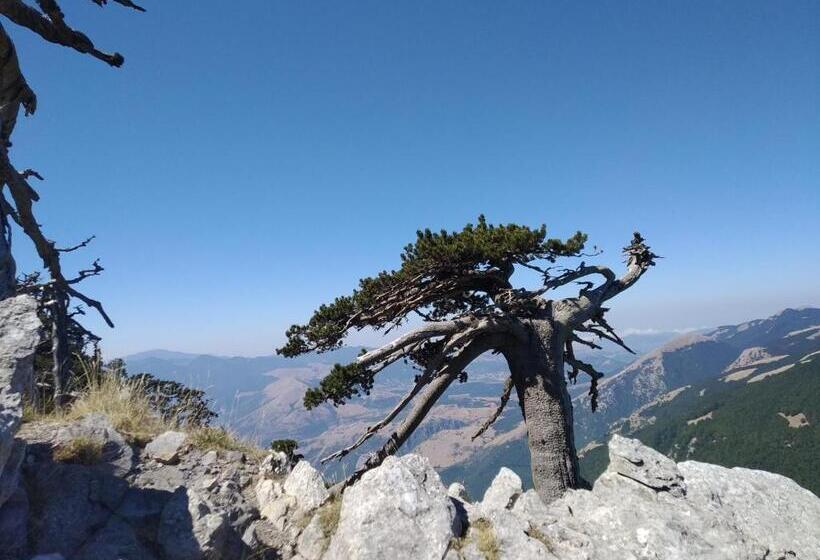 بنسيون Dimora Del Corso