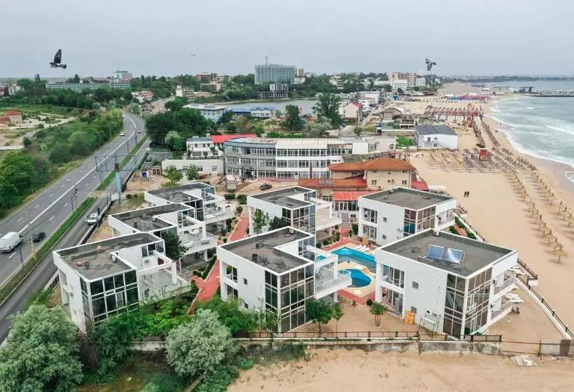 Avenue Palm On The Beach   Avenue Hotels