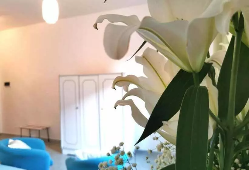 Hotelli Tea  Praia A Mare