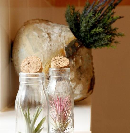 住宿加早餐 Inn66