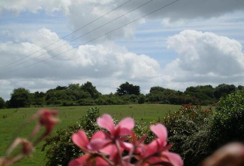 Bed & Breakfast Chambres D'hôtes Au Saint Avit