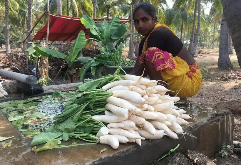 ホテル Nannilam Organic Farm Stay