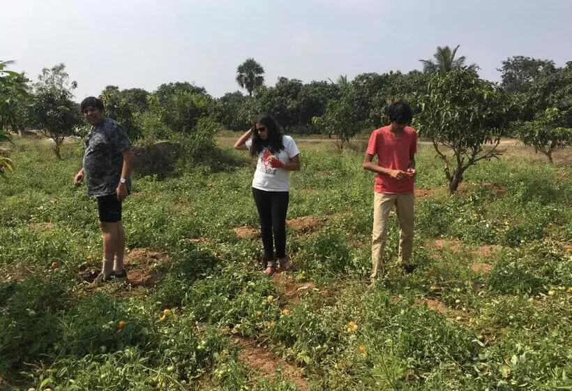ホテル Nannilam Organic Farm Stay