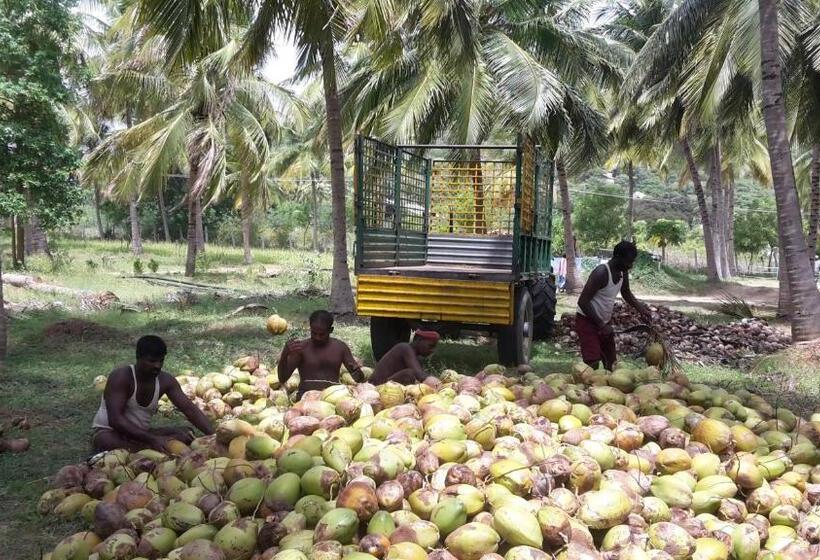 فندق Nannilam Organic Farm Stay