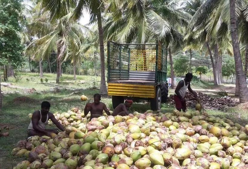 ホテル Nannilam Organic Farm Stay