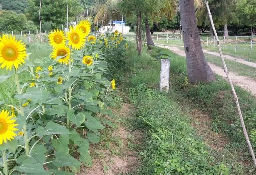 ホテル Nannilam Organic Farm Stay