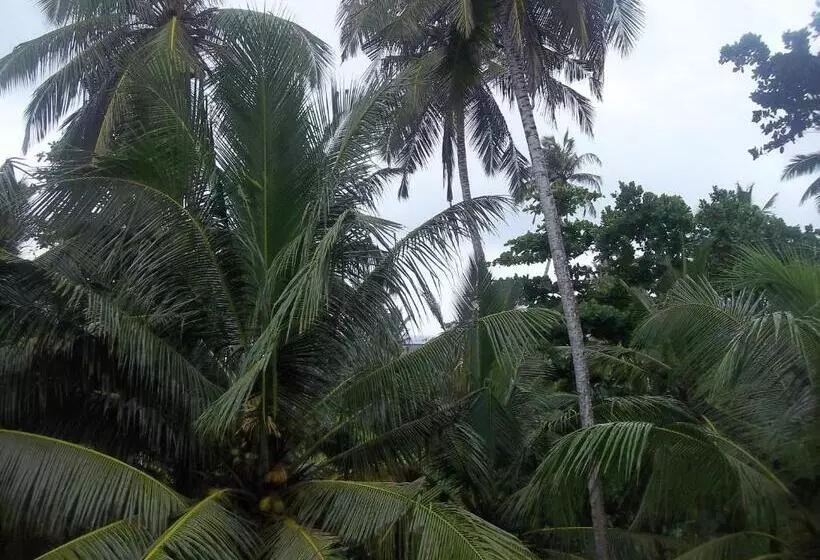 Majatalo Kabalana Design House Villa