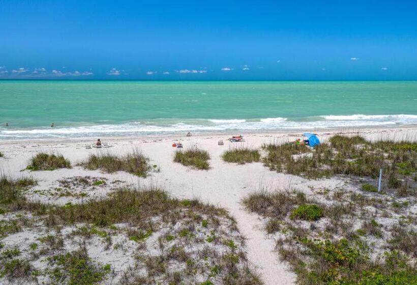 渡假胜地  Suntan Terrace