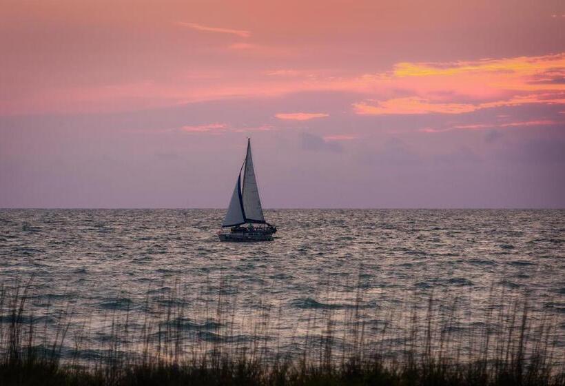 渡假胜地  Suntan Terrace