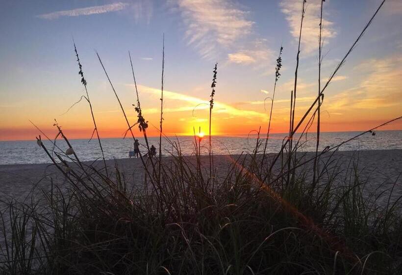 渡假胜地  Suntan Terrace
