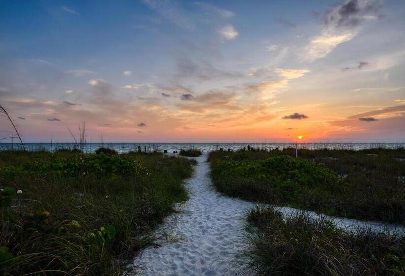 渡假胜地  Suntan Terrace