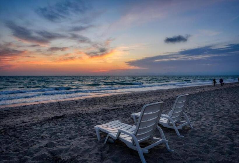 渡假胜地  Suntan Terrace