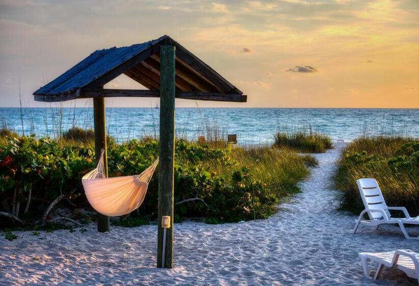 渡假胜地  Suntan Terrace